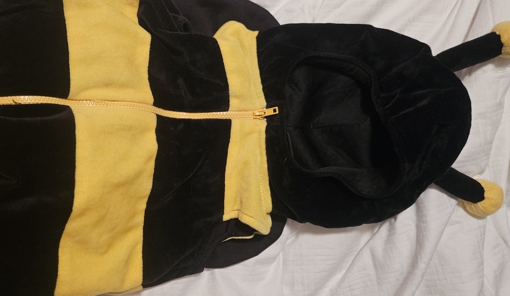 Yellow and Black Striped Costume